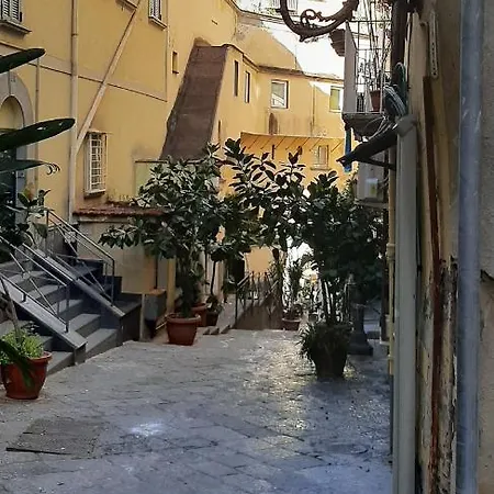Apartment Palm's House